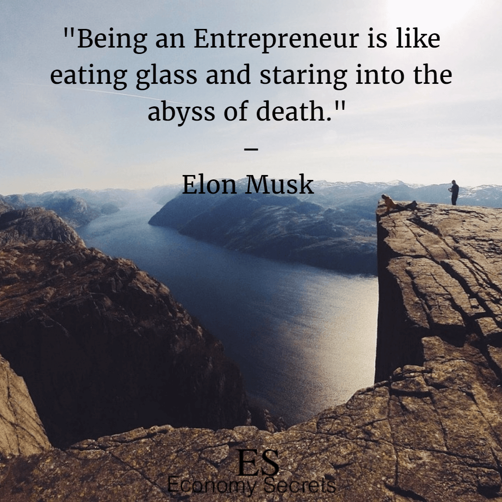 Elon Musk Quotes 15